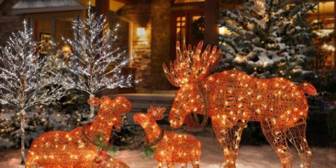 Jak ozdobit zahradu do nového roku: 80 nápadů, které budou převedeny na krajinářský design vašeho domova